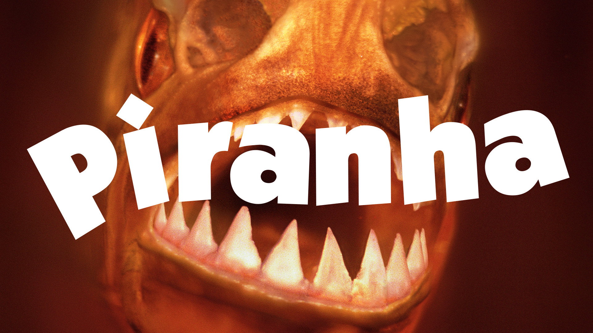 Piranha's poster
