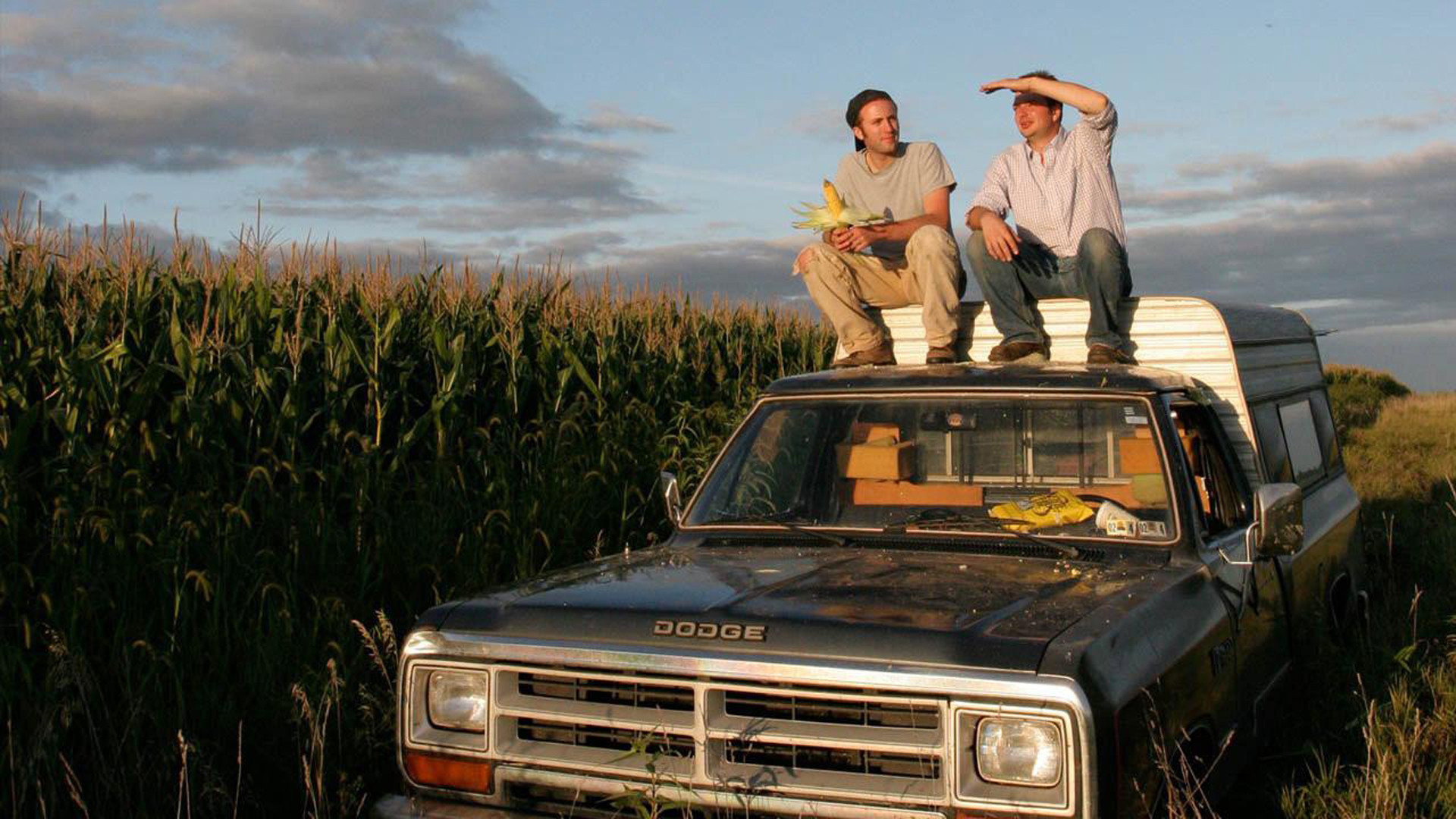 King Corn's poster