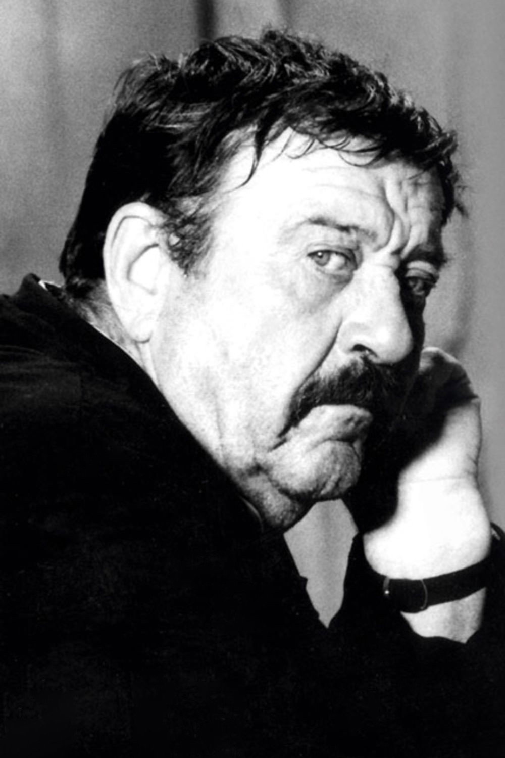Pavle Vuisić's poster
