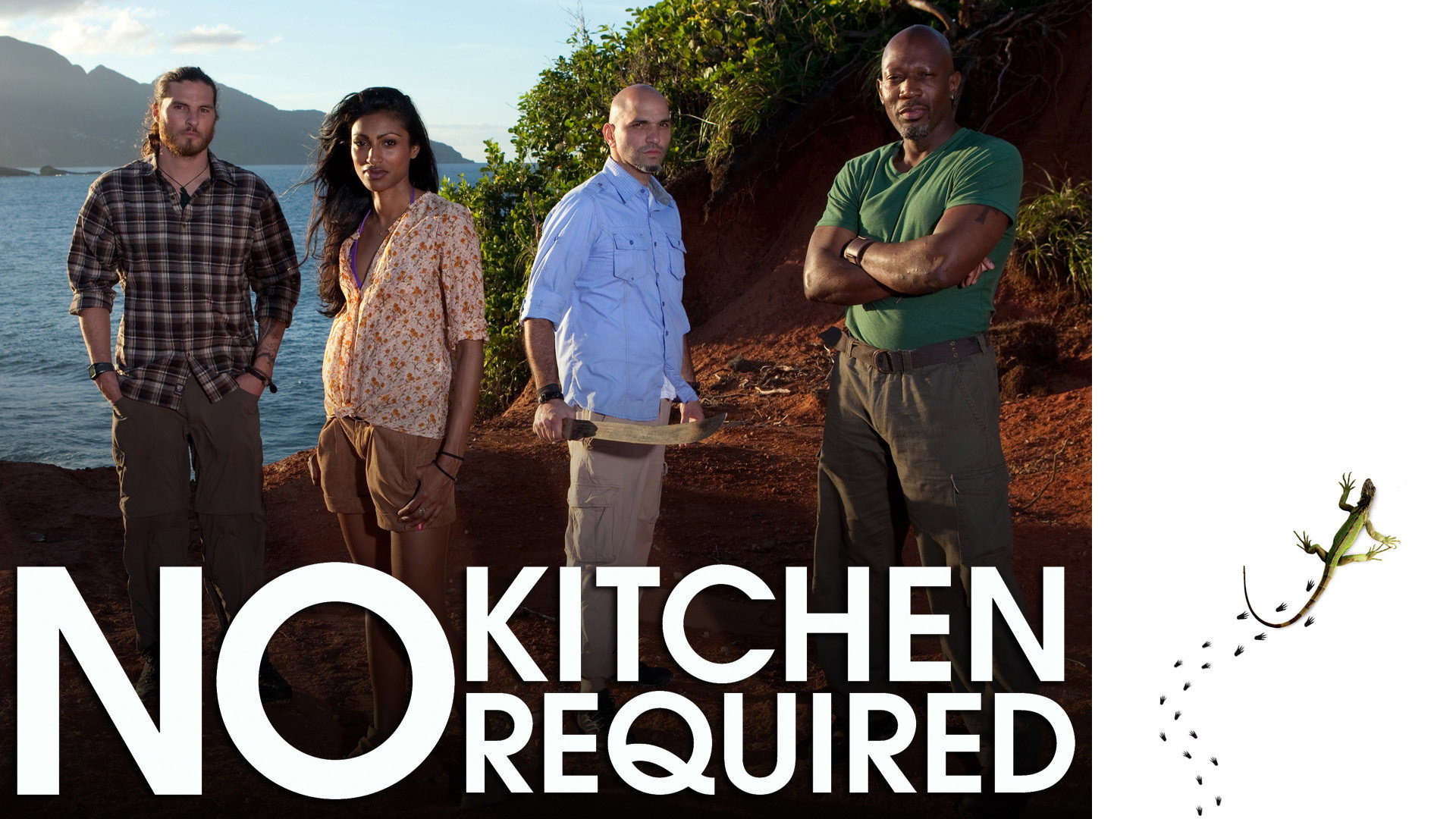 No Kitchen Required's poster