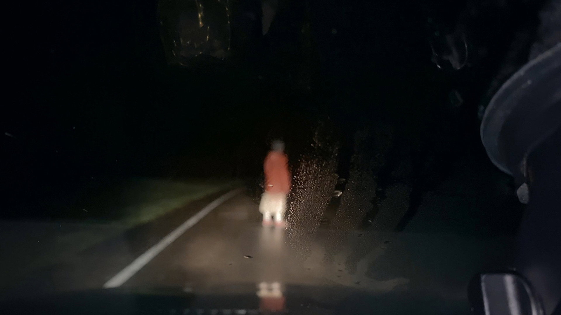 Dashcam's poster