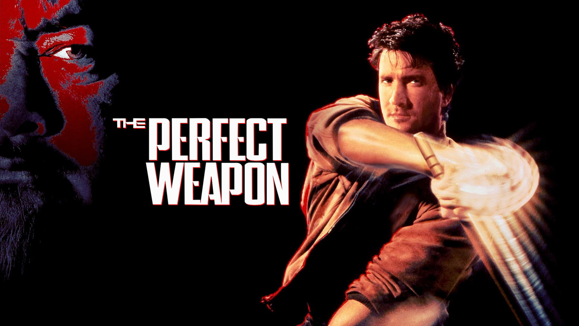 The Perfect Weapon's poster