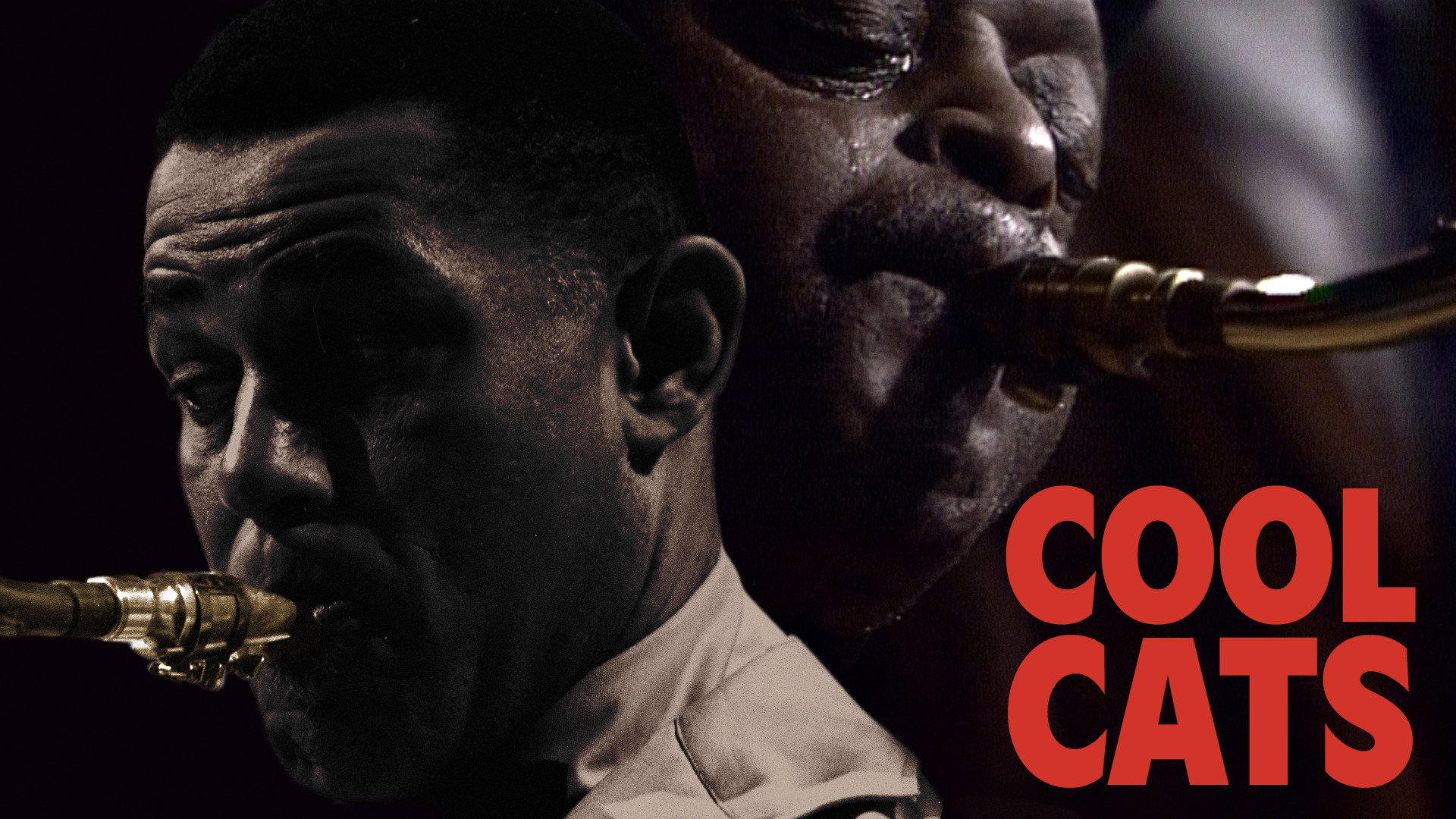 Cool Cats's poster