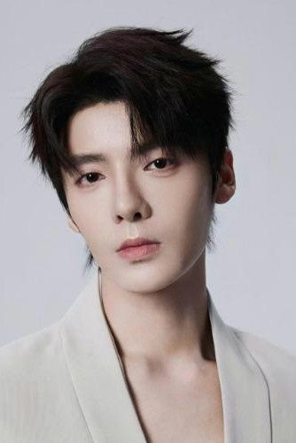 Duan Meiyang's poster