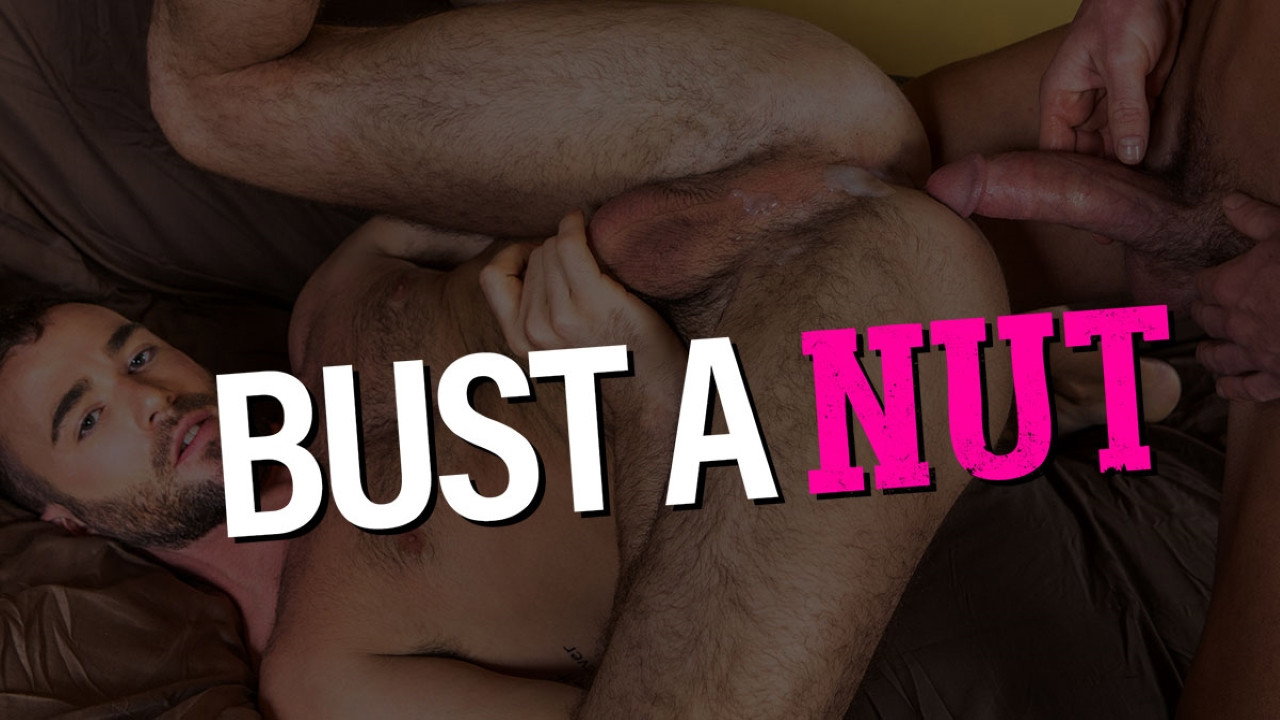 Bust A Nut's poster