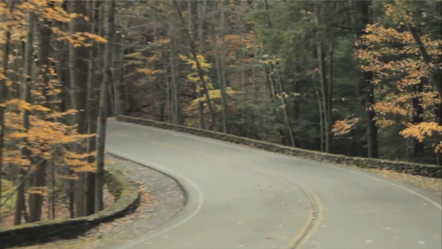 Fall's poster