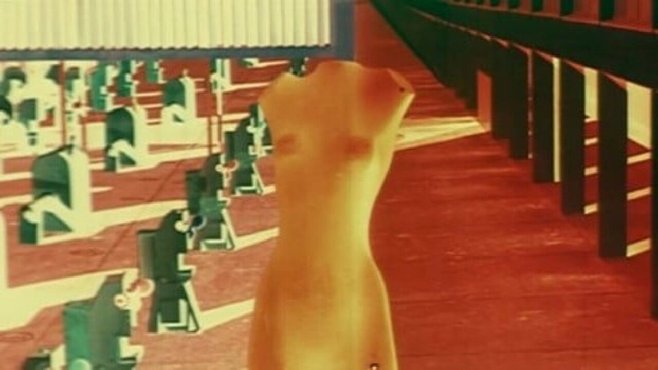 Model's poster