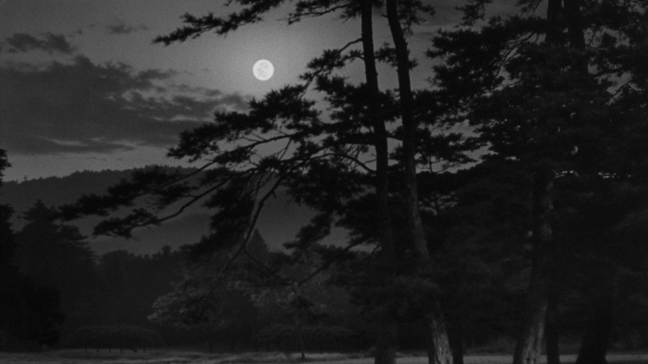 The Moon Has Risen's poster