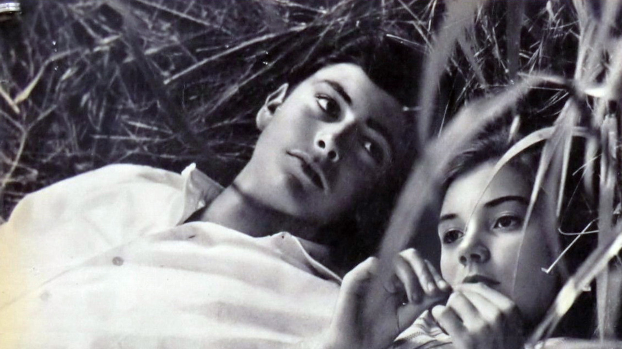 Latin Lovers's poster