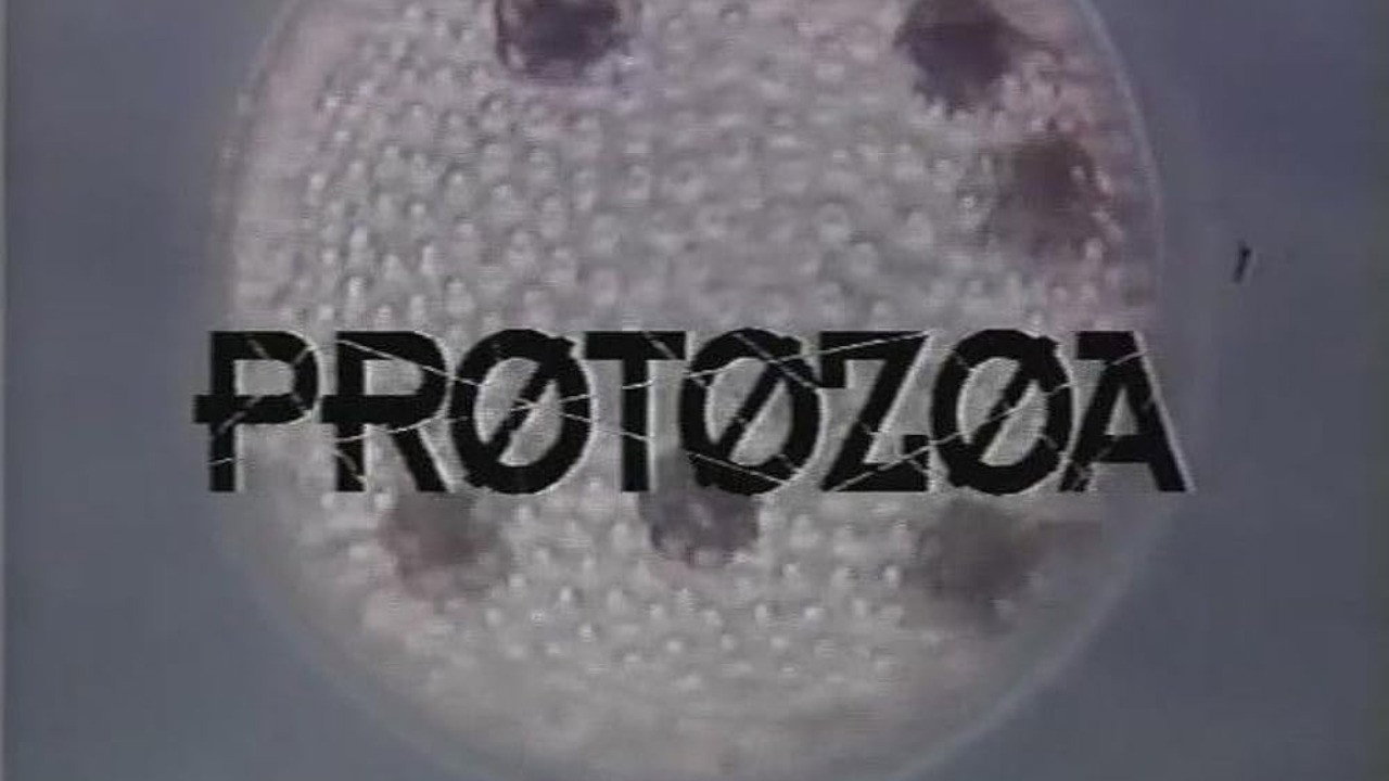 Protozoa's poster