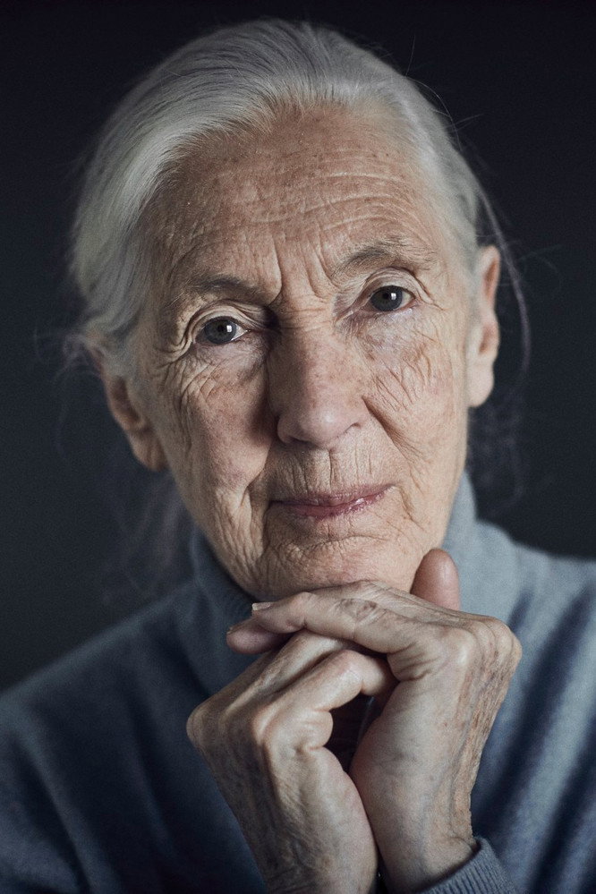 Jane Goodall's poster