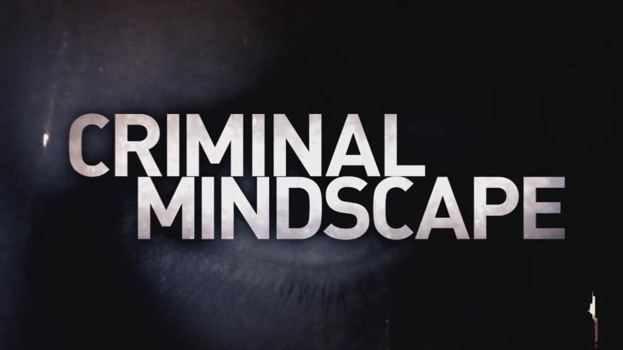 Criminal Mindscape's poster