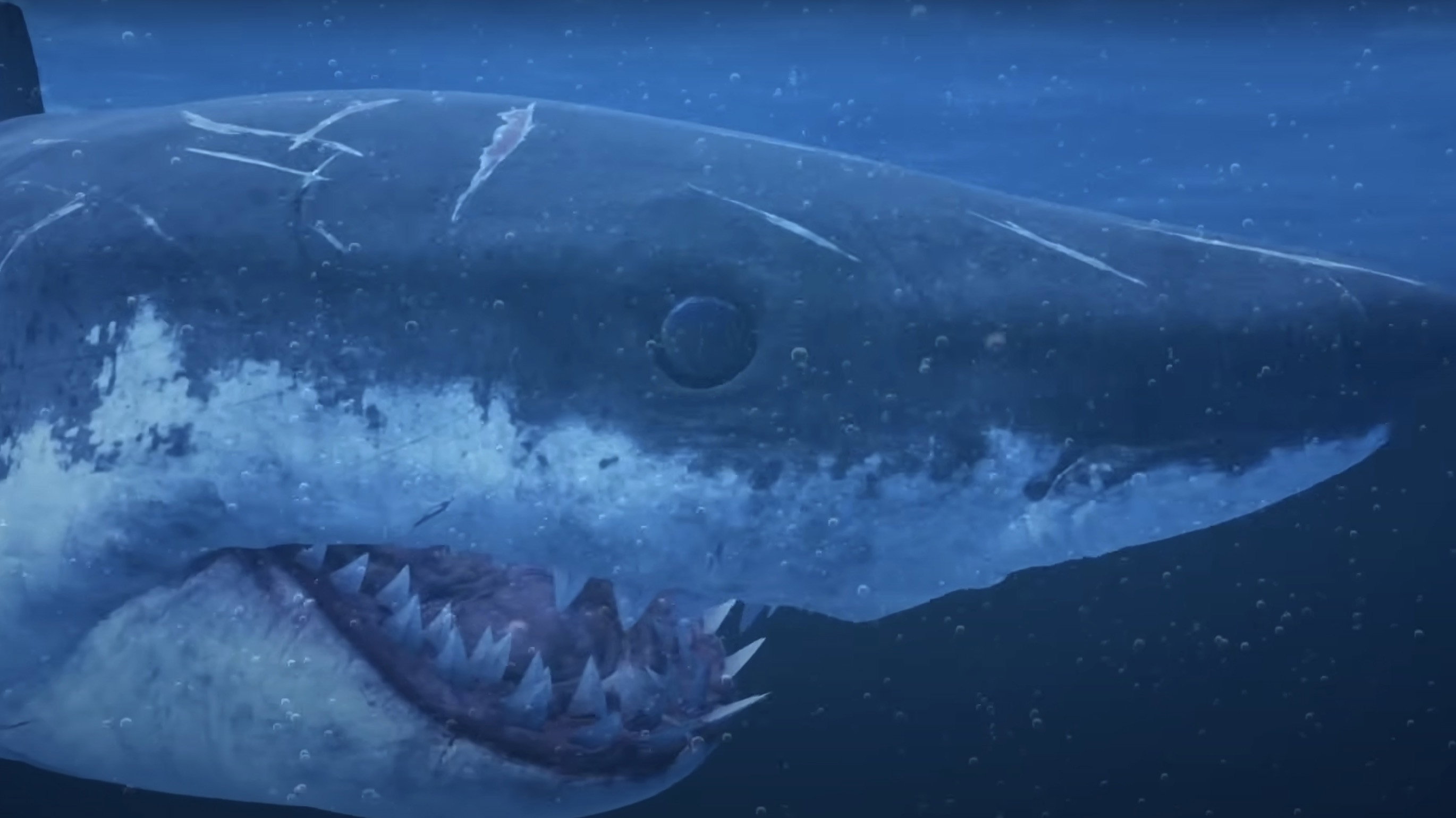 Mummy Shark's poster