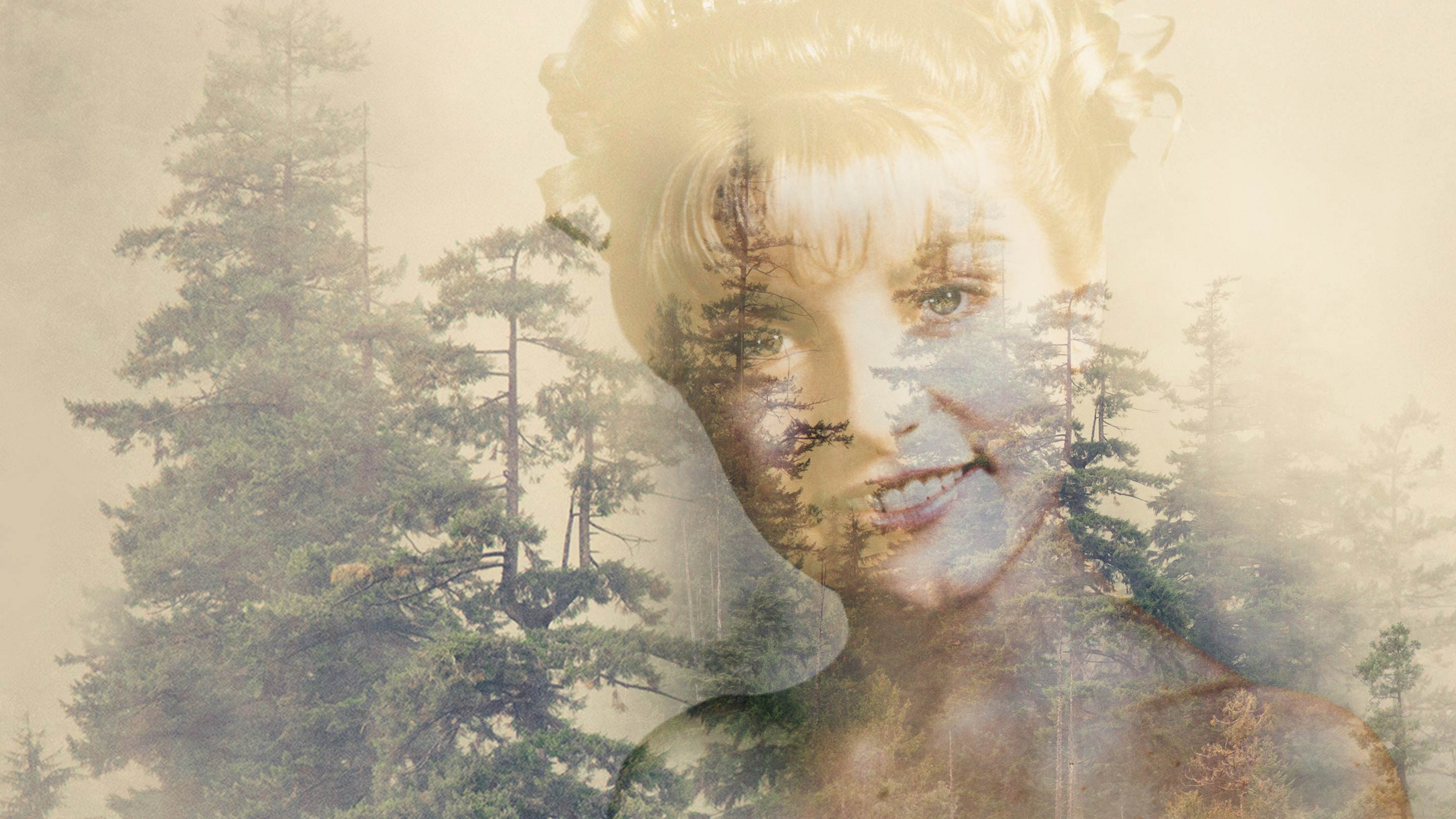 Twin Peaks's poster