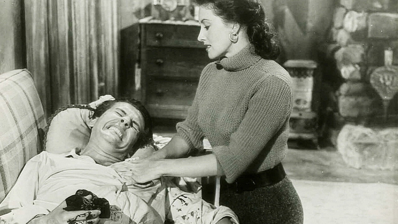 Taming Sutton’s Gal's poster