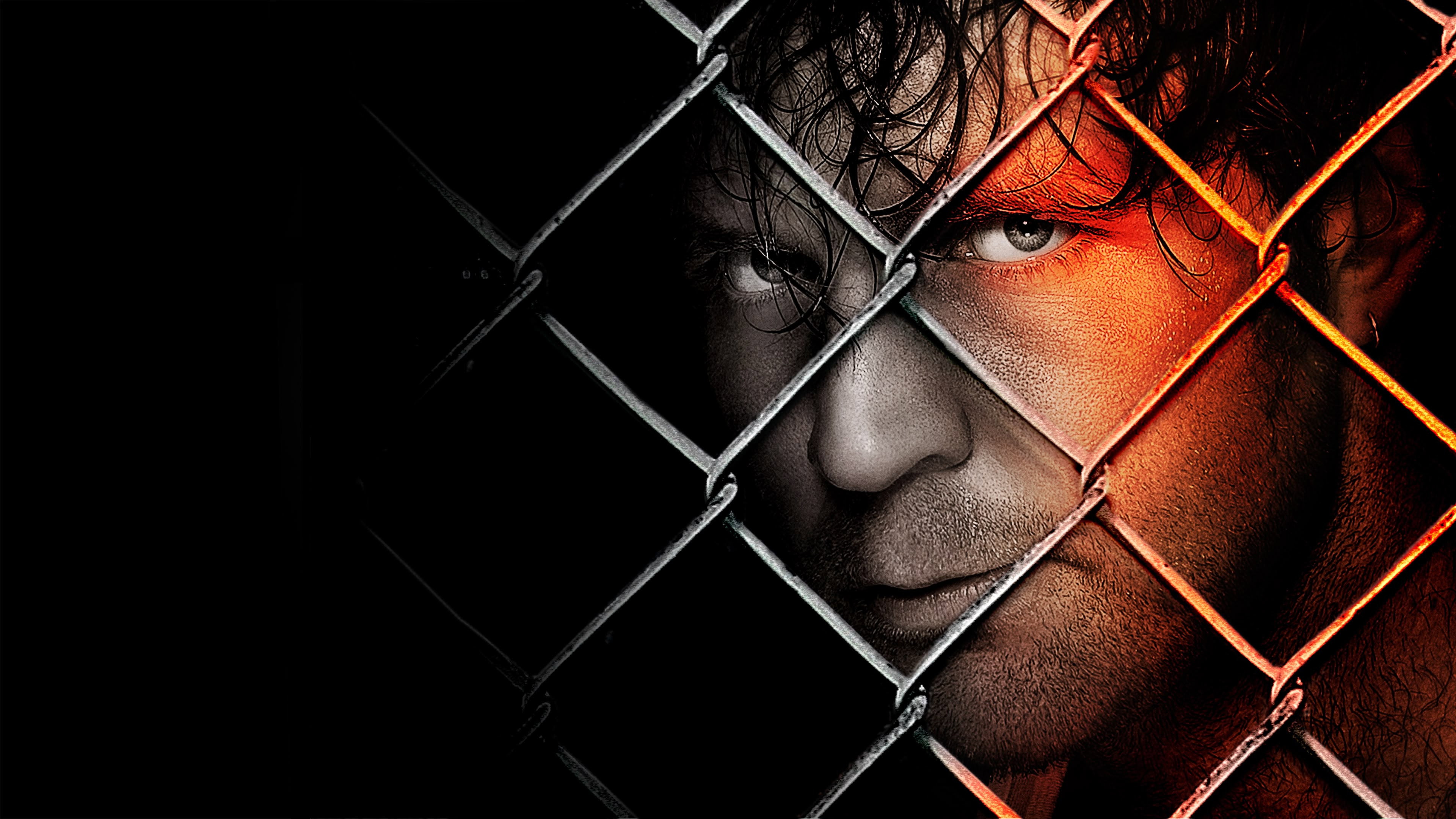 WWE Hell In A Cell 2014's poster