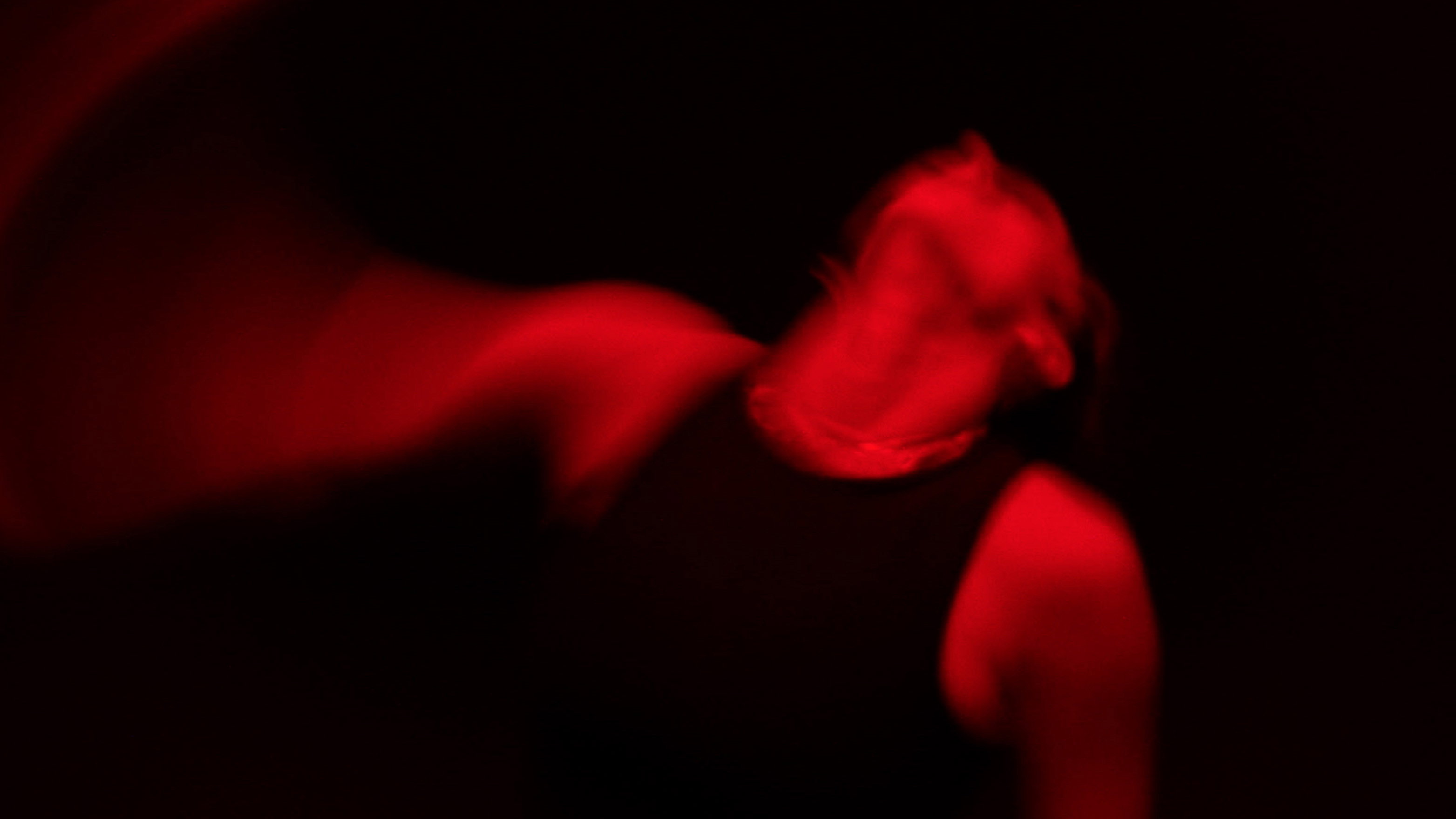 These Violent Delights's poster
