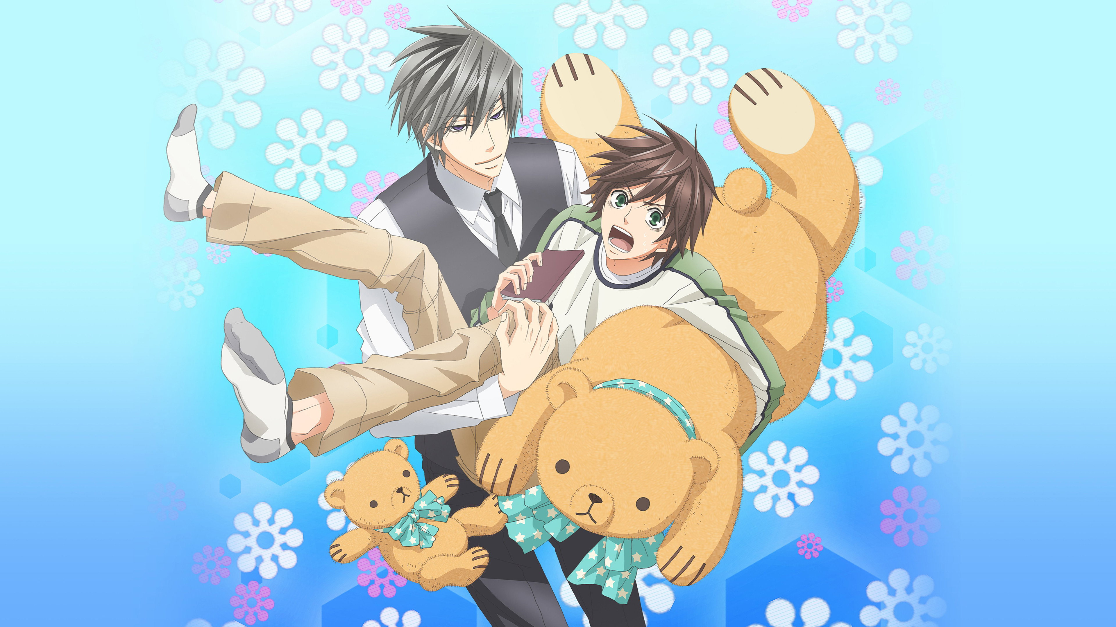 Junjo Romantica's poster