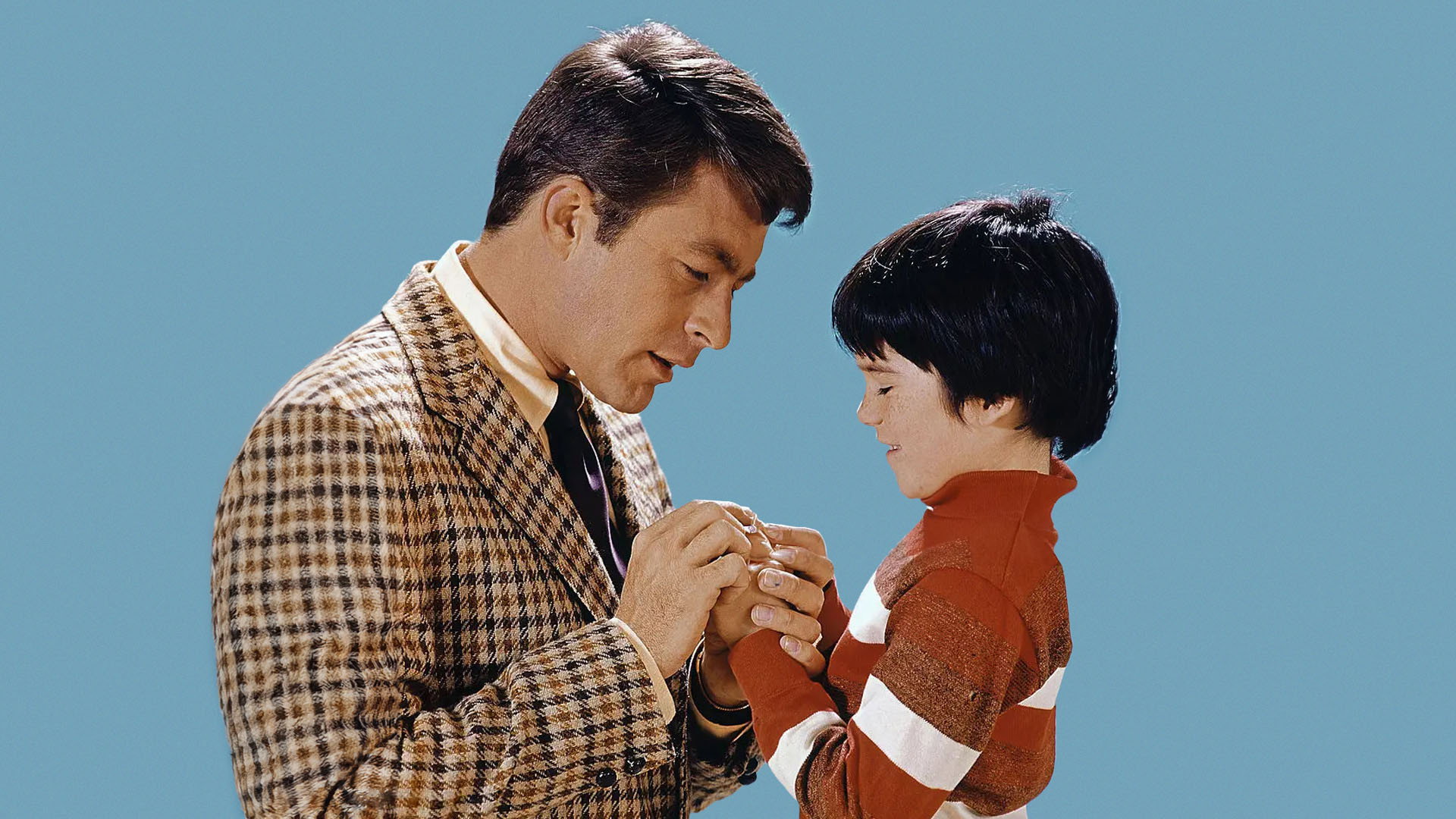 The Courtship of Eddie's Father's poster