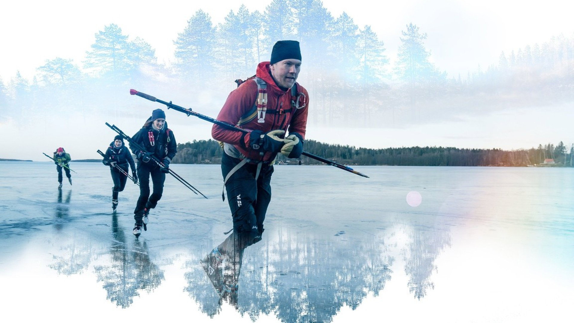 Wild Scandinavia's poster
