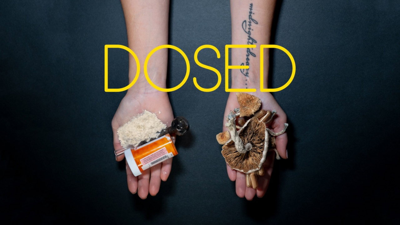 Dosed's poster