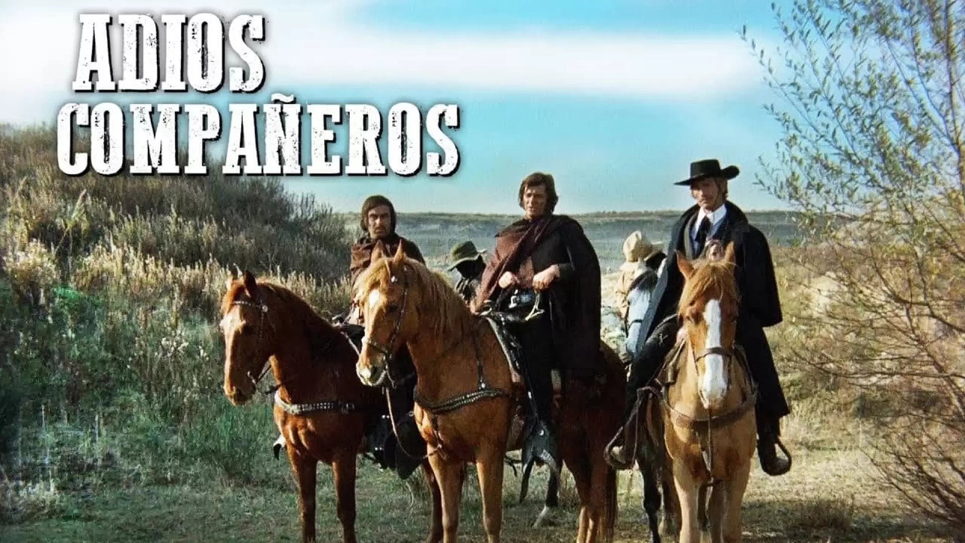 Adios Compañeros's poster