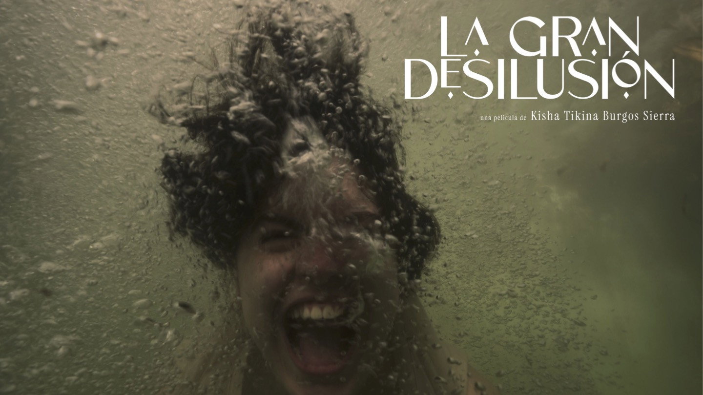 La Gran Desilusión's poster