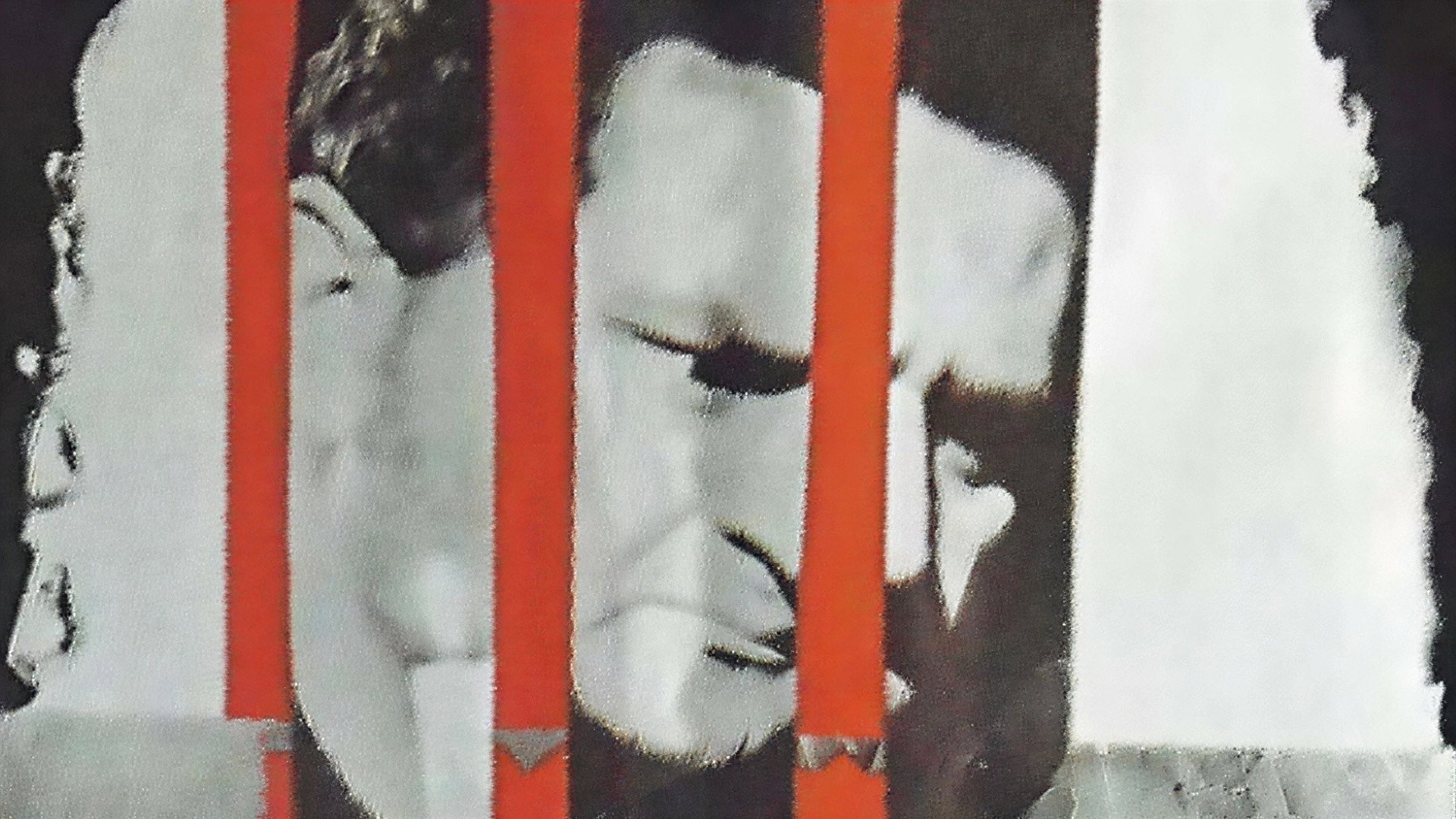 The Cellar's poster