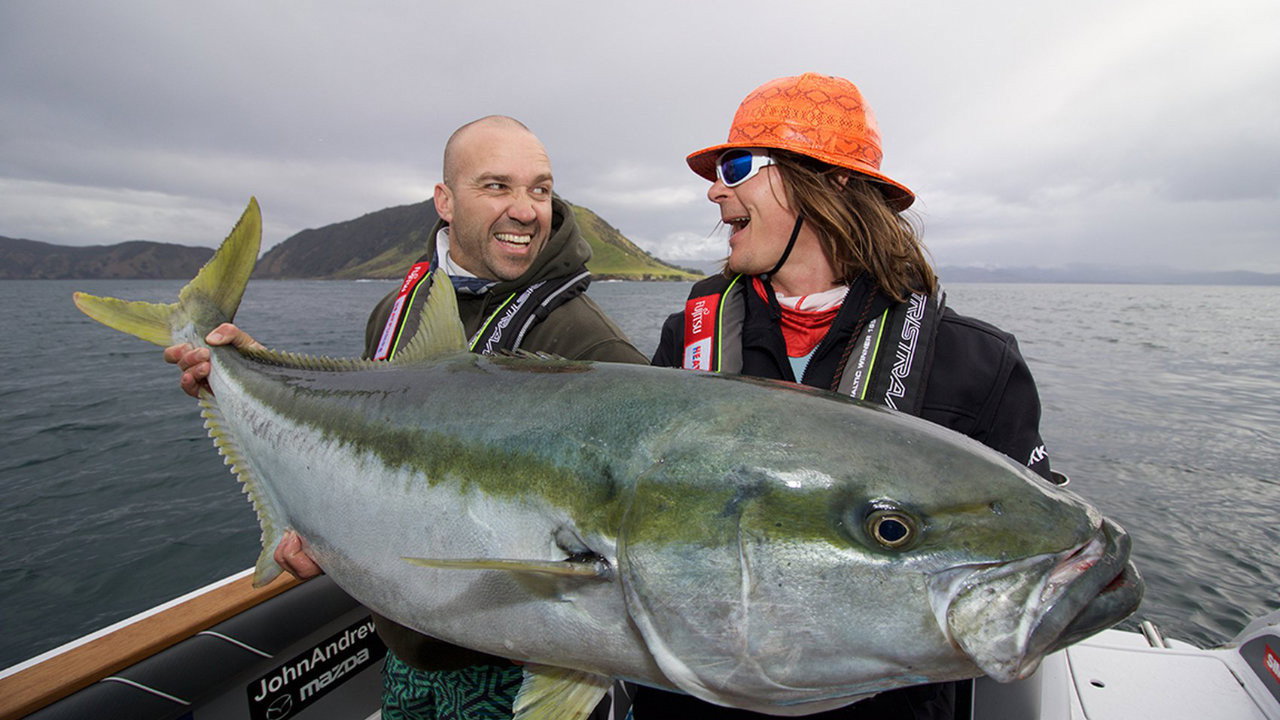 Big Angry Fish's poster