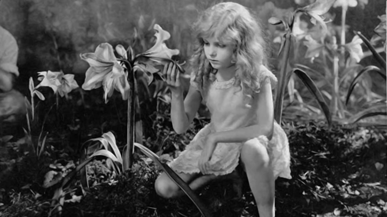 The Magic Garden's poster
