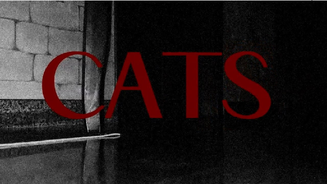 CATS's poster