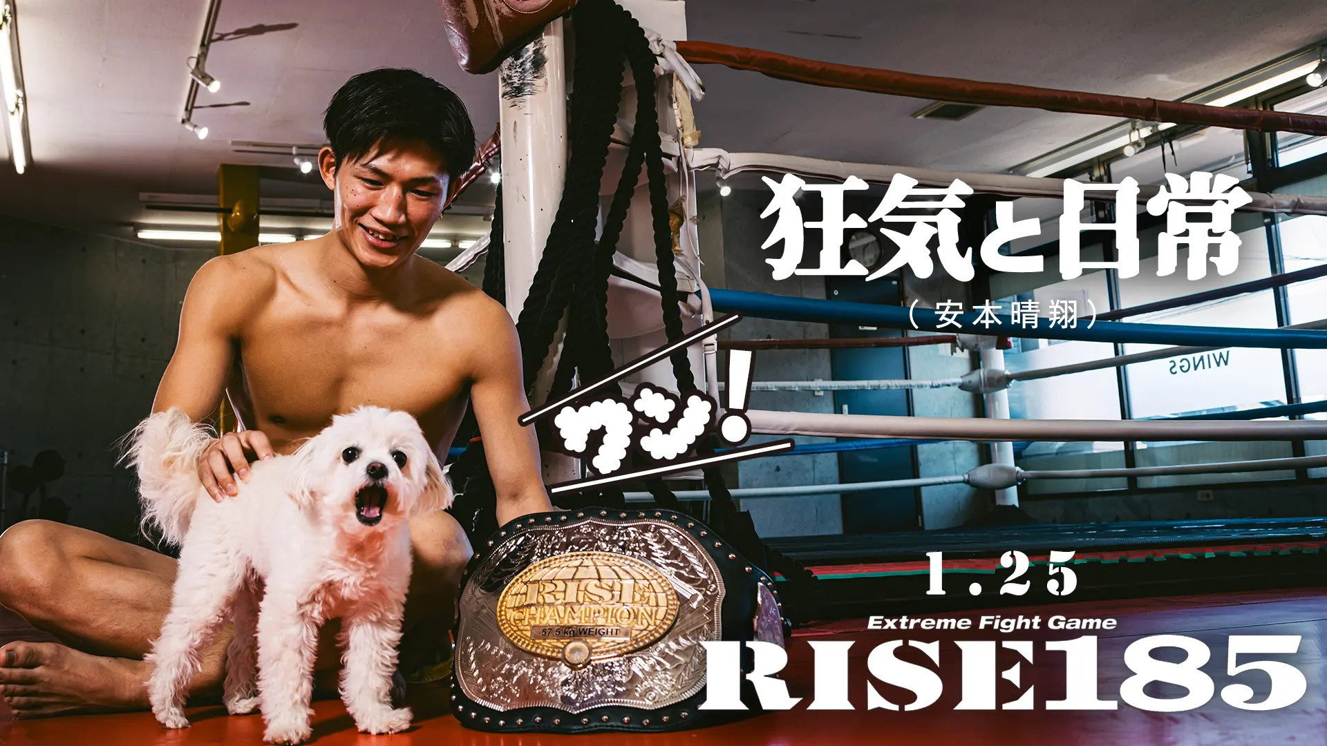 RISE 185's poster