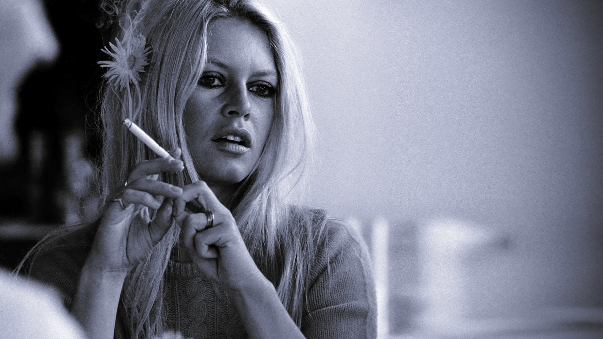 Spécial Bardot's poster