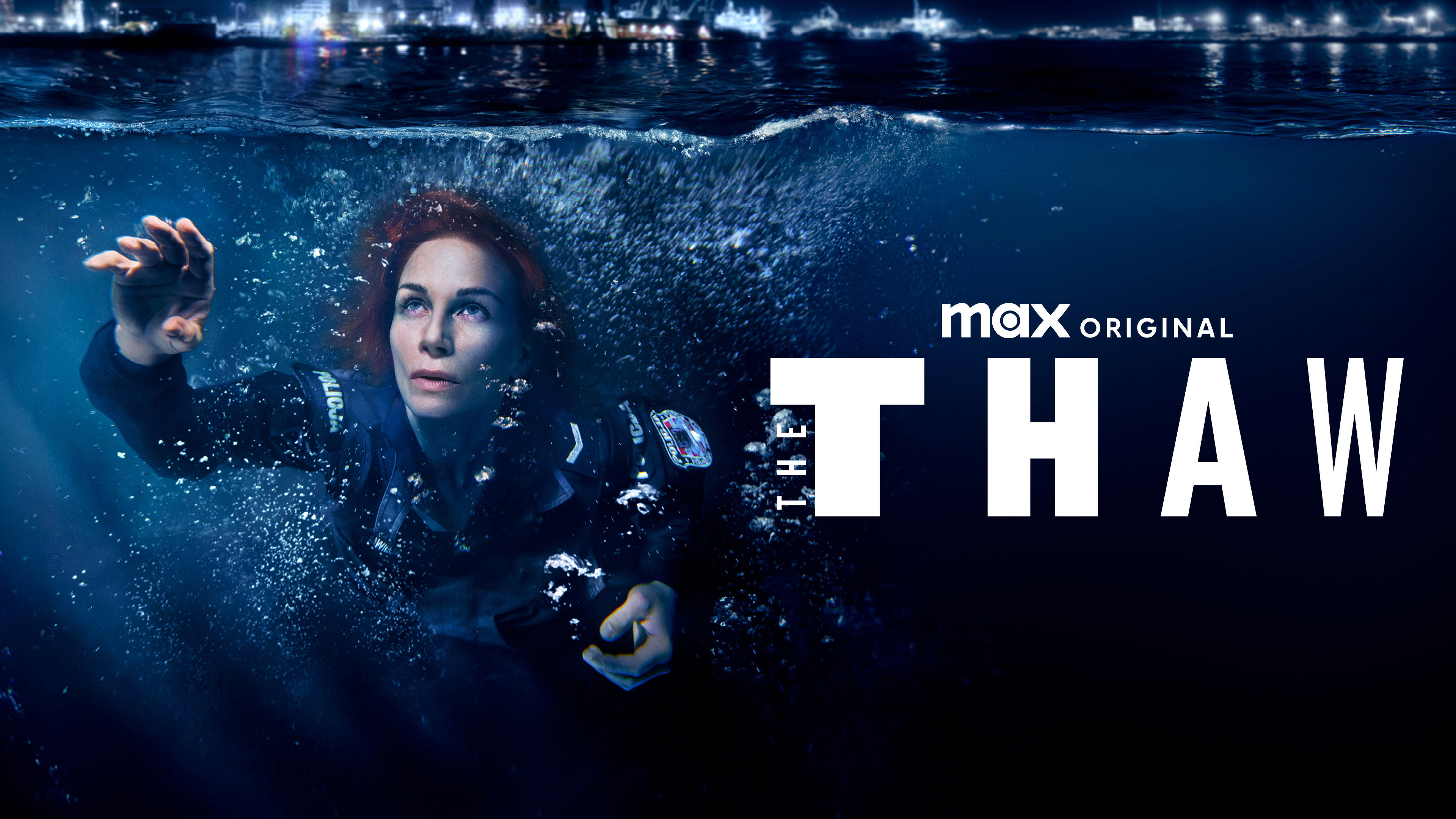 The Thaw's poster