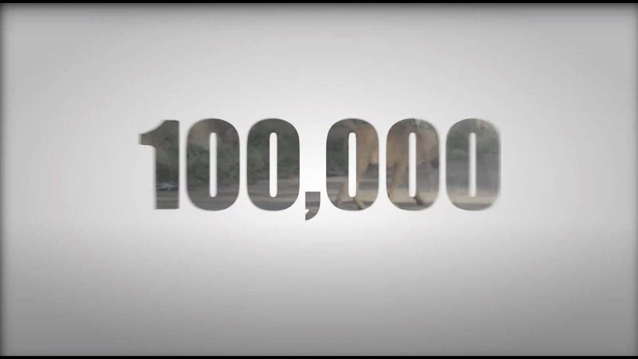 100,000's poster