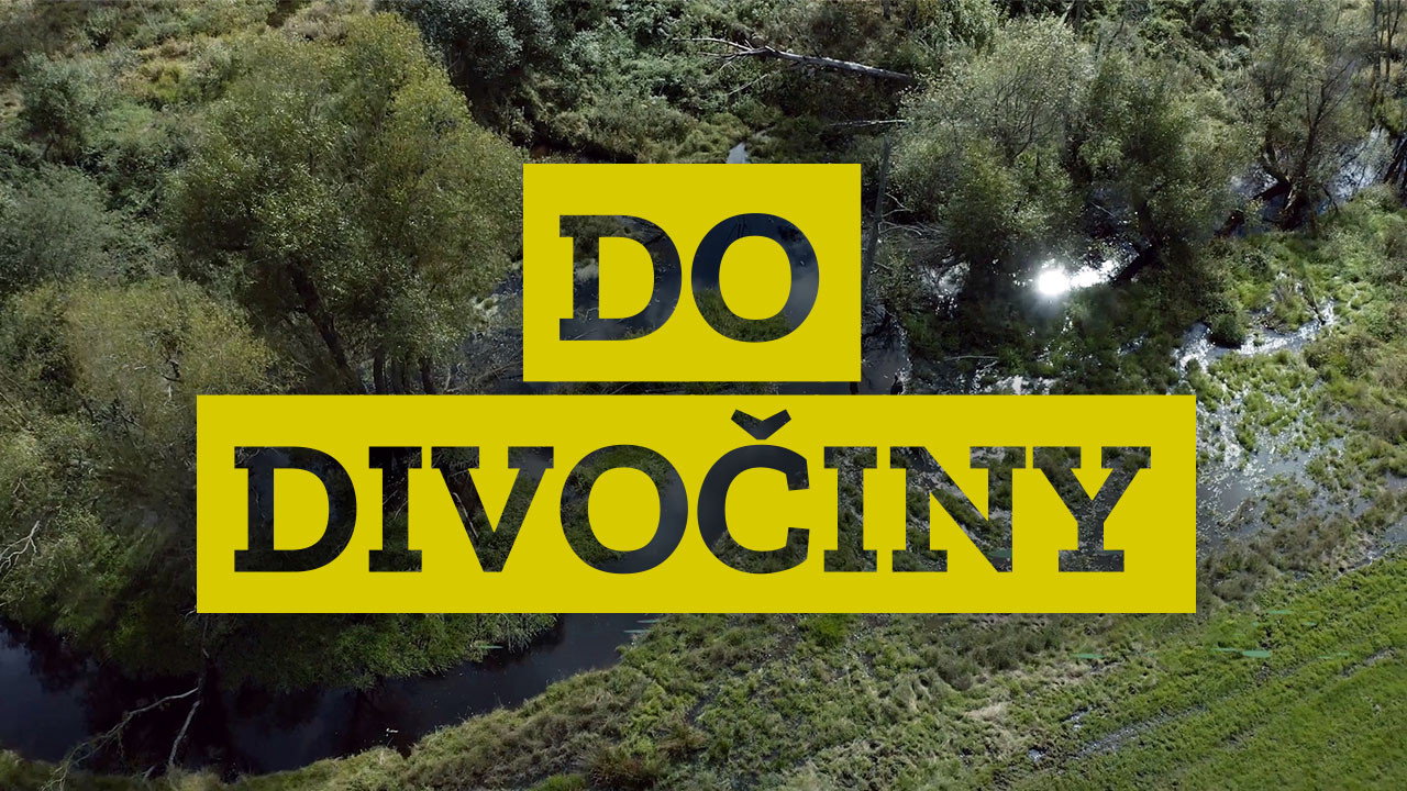 Do divočiny!'s poster