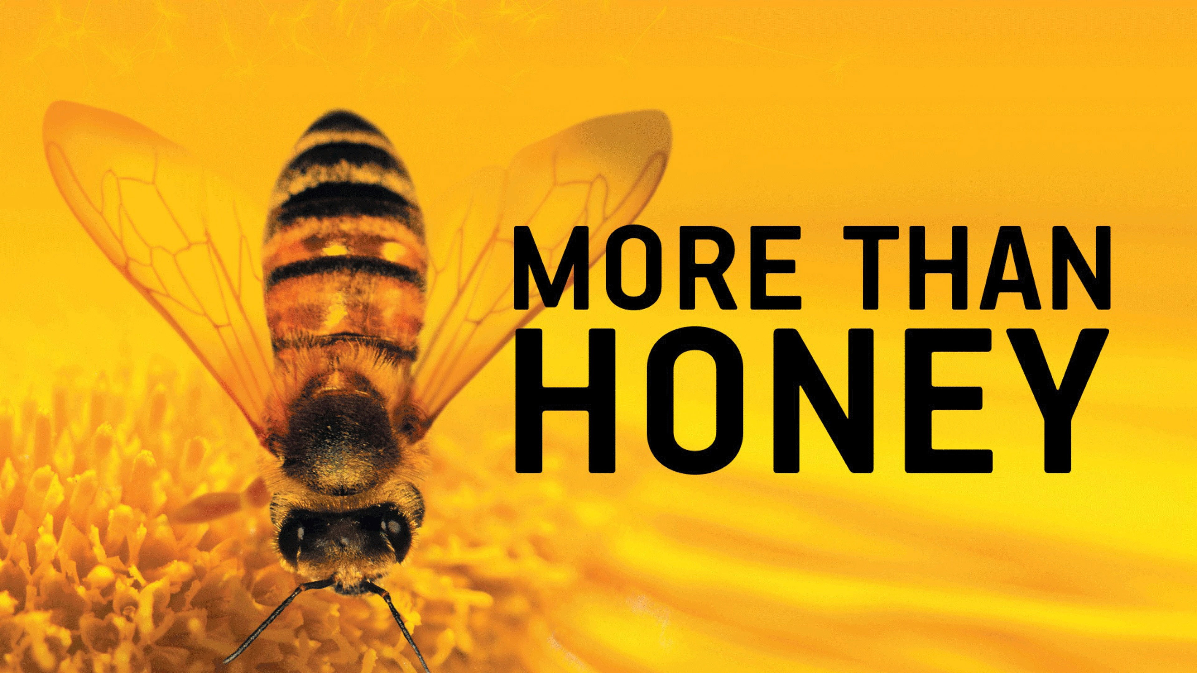 More Than Honey's poster