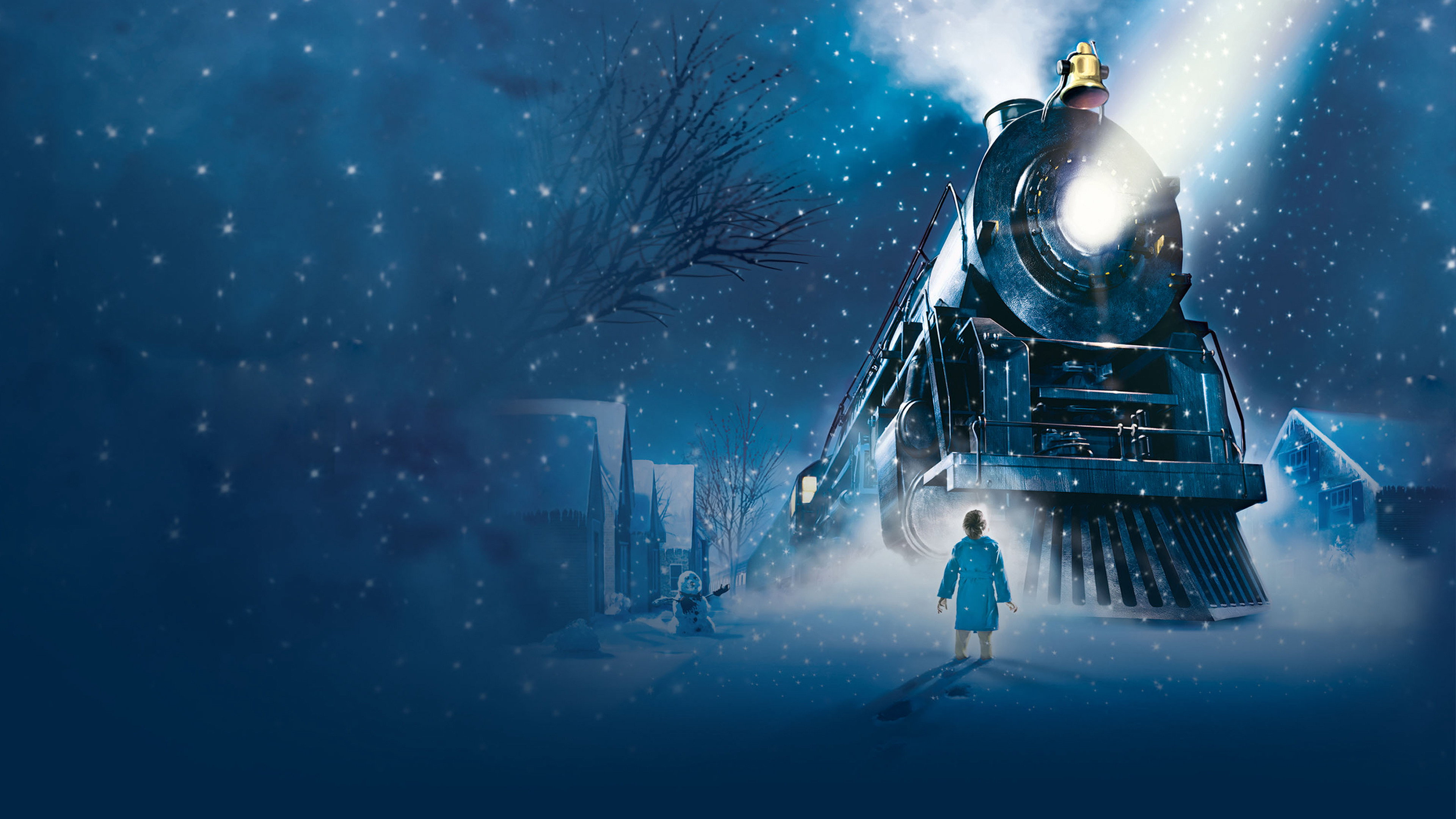 The Polar Express's poster