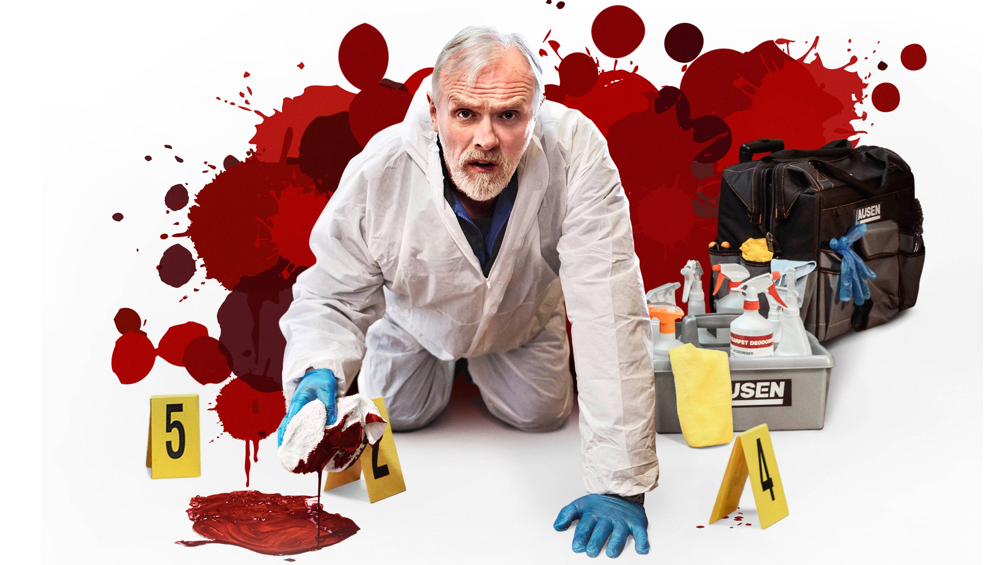 The Cleaner's poster