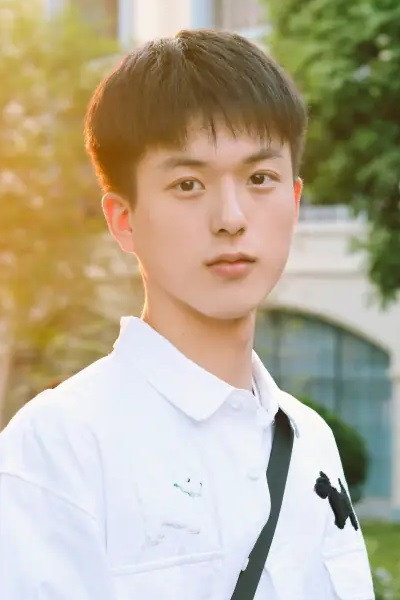 Wang Yulin's poster