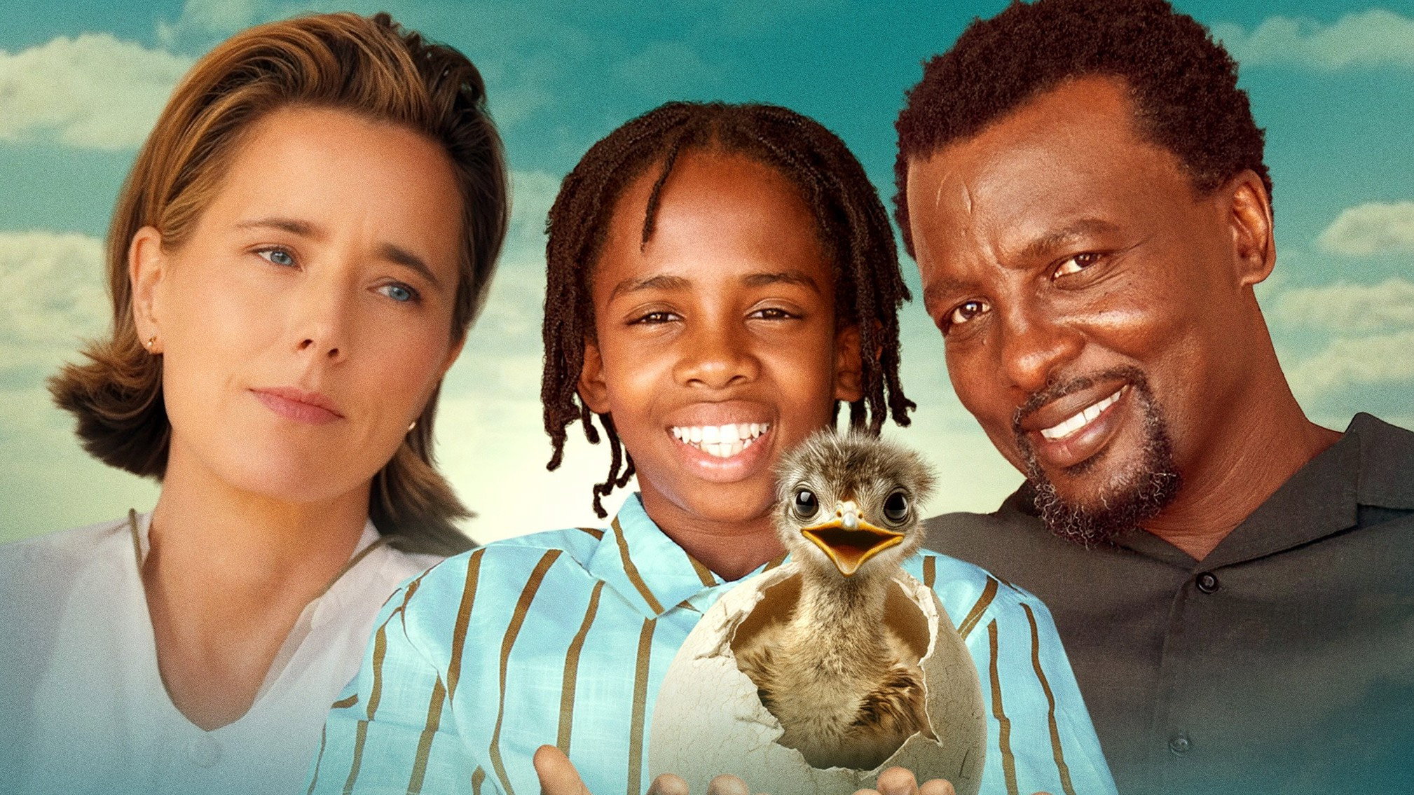 Bird Boy's poster