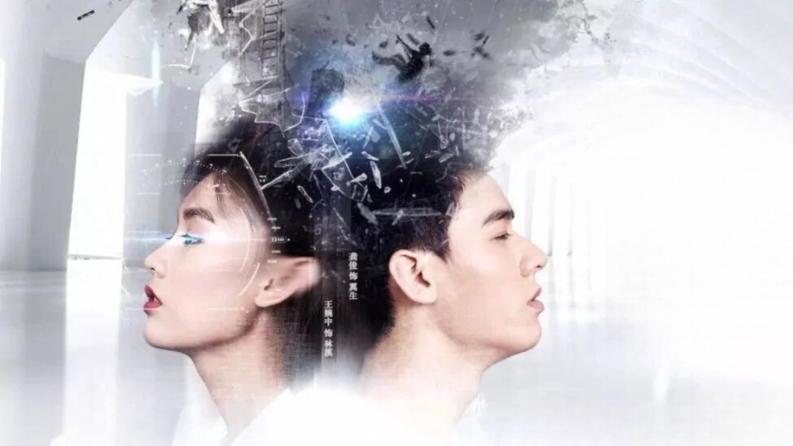 Rebirth Partner's poster