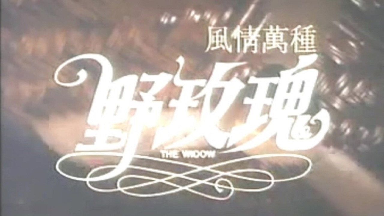 The Widow's poster