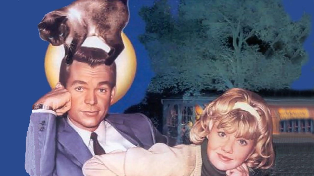 That Darn Cat!'s poster