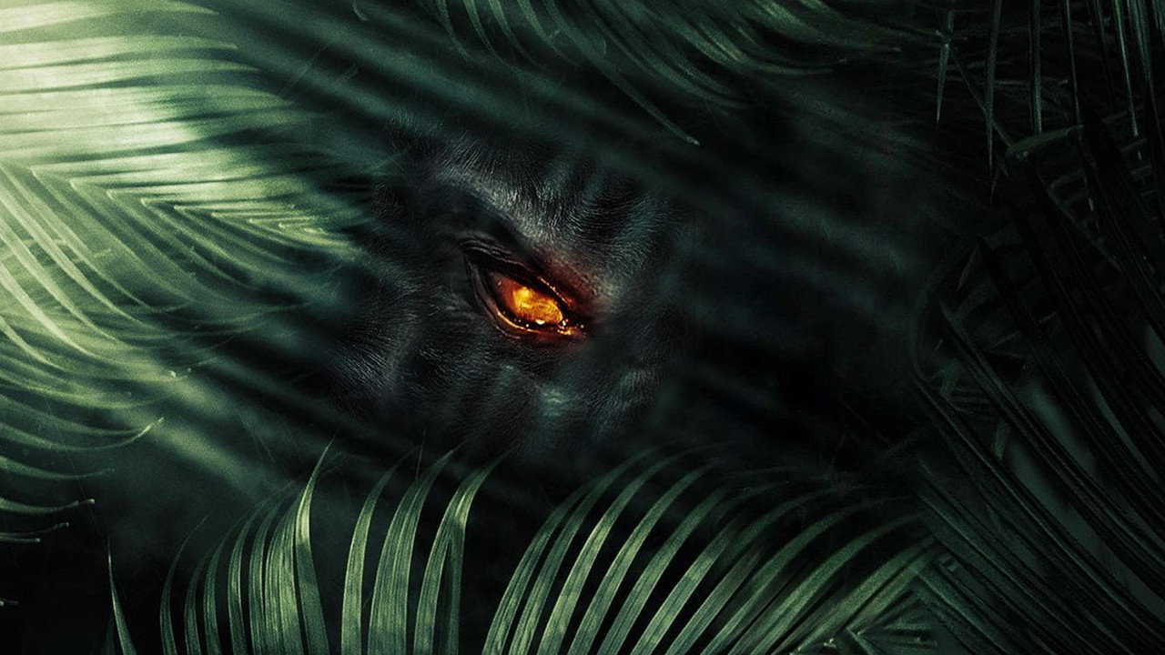 The Jungle's poster