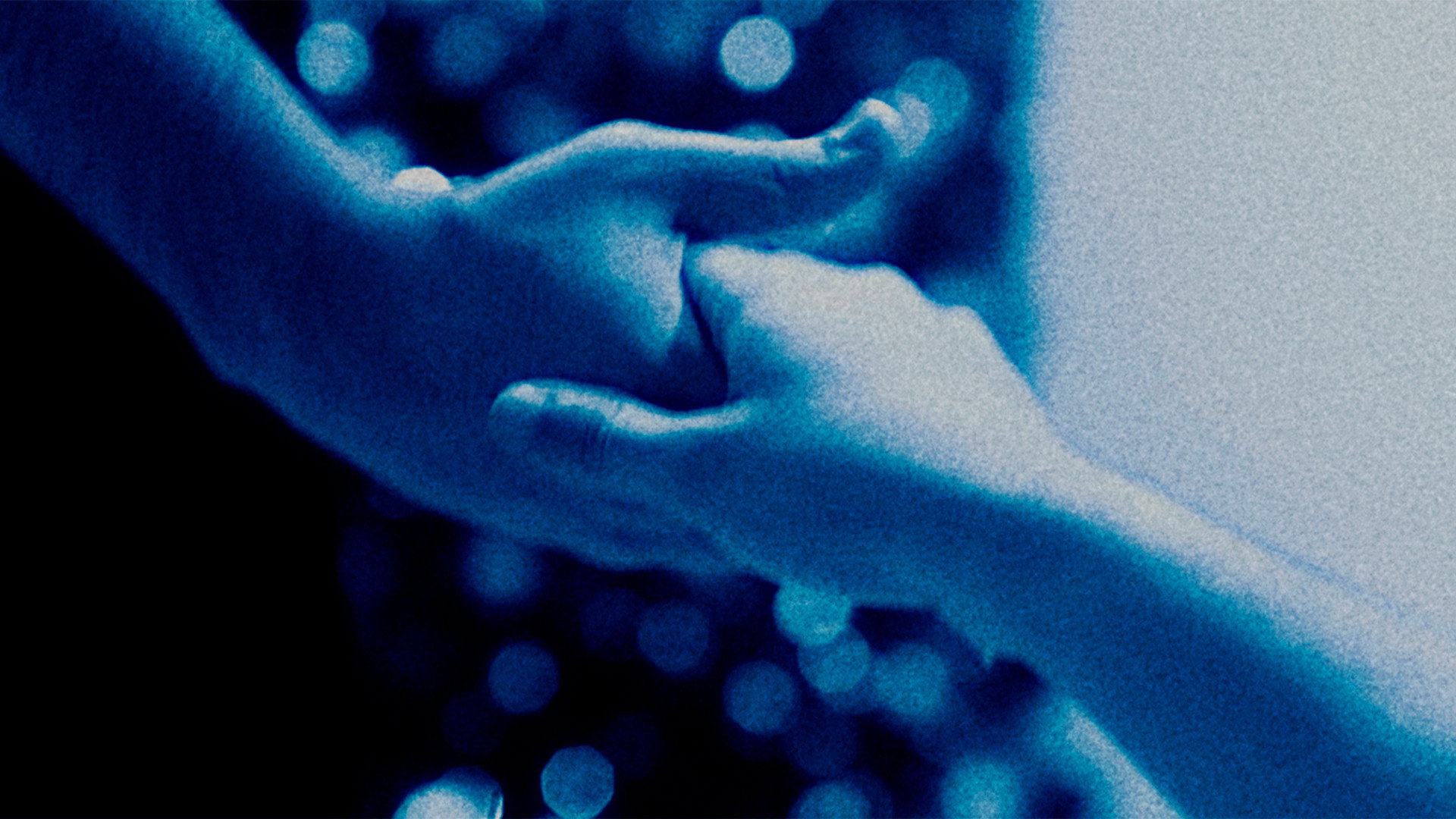 Blue Night's poster
