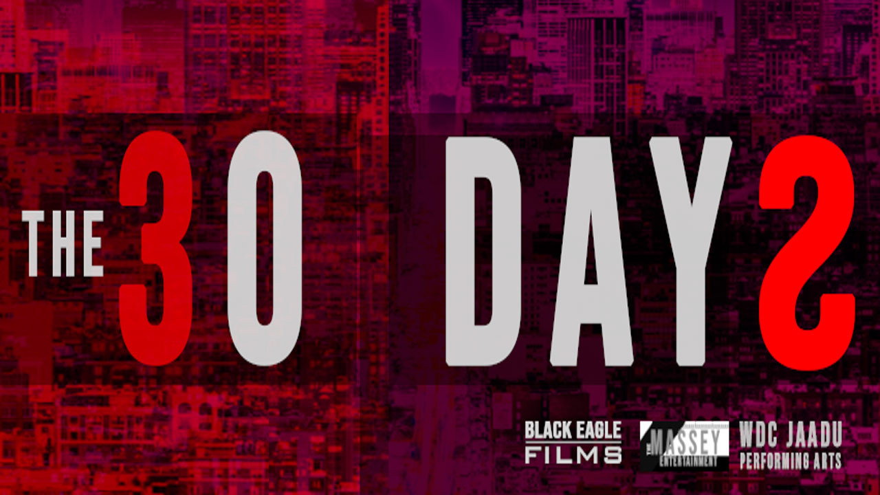 The 30 Days's poster