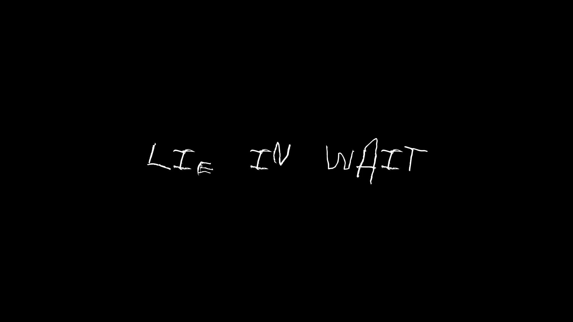 Lie in Wait's poster