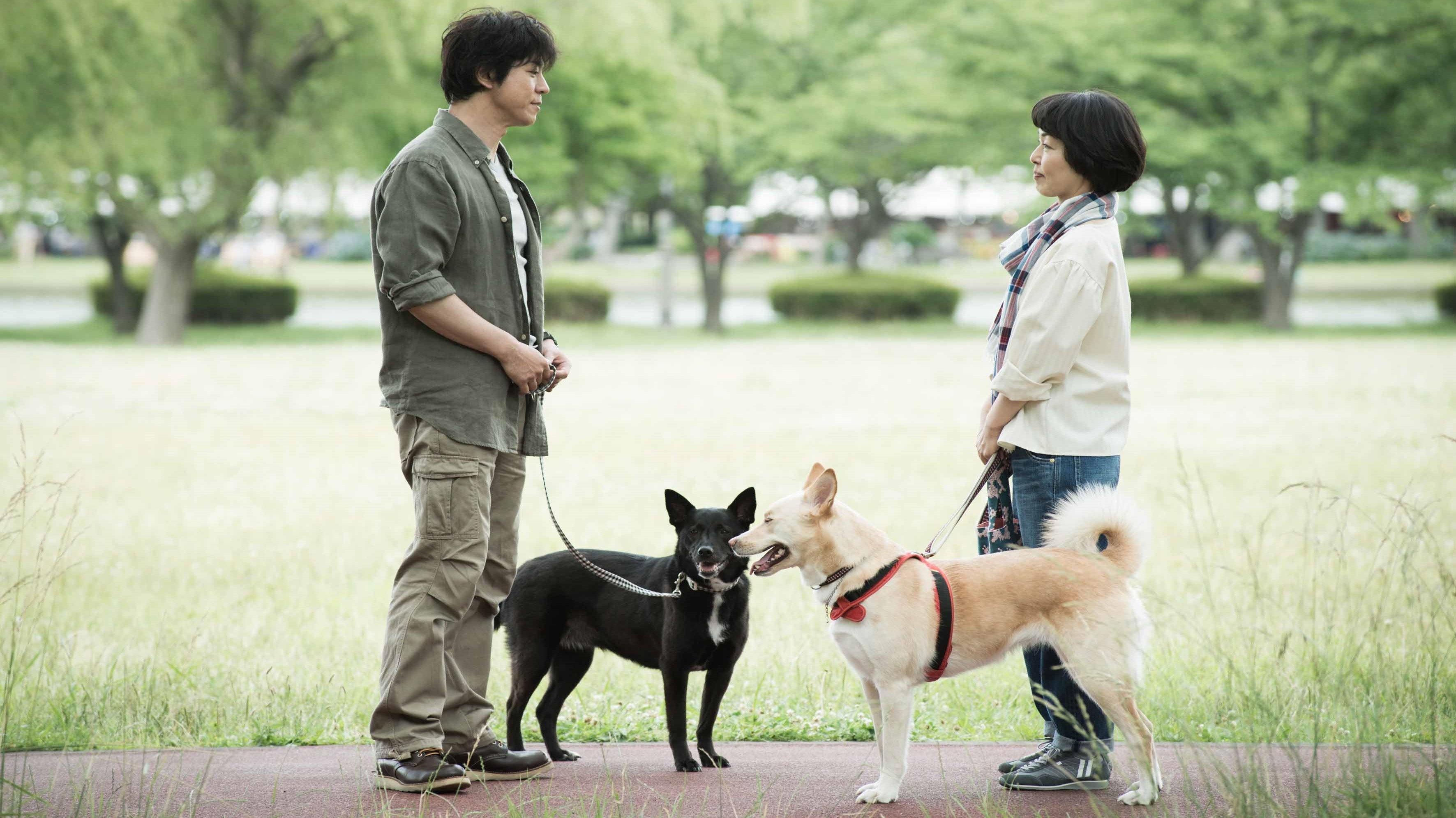 Dogs Without Names's poster