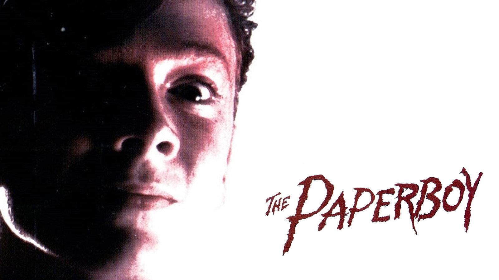 The Paperboy's poster